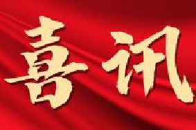 省级认定+1！迪培思广州国际广告展荣获“广东省会展项目百强”